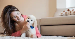 Assurance pour animaux
